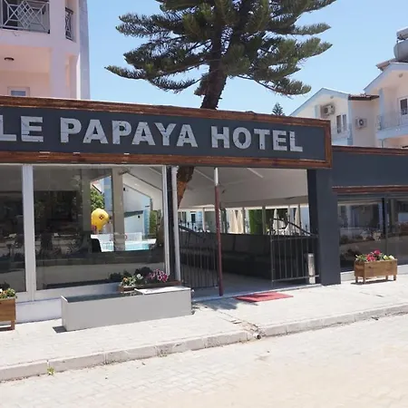 Family Papaya Apart Hotel-3