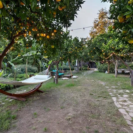 Casa Sur Antalya-2