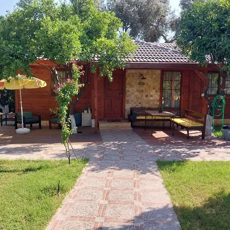 Miss Mandarin Bungalow Evleri-2