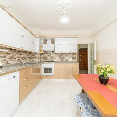 Central And Pleasant Flat In Muratpasa-3