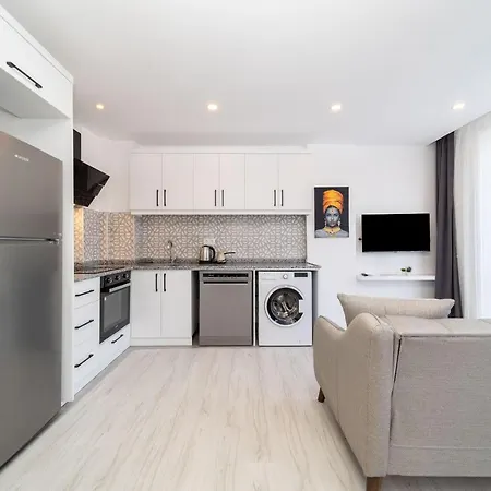 Central And Modern Flat In Muratpasa-3