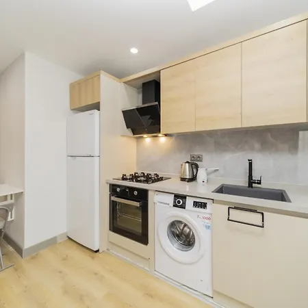 Chic Flat With Central Location In Muratpasa-3