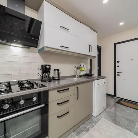 Mesmerizing Flat Close To Konyaalti-2