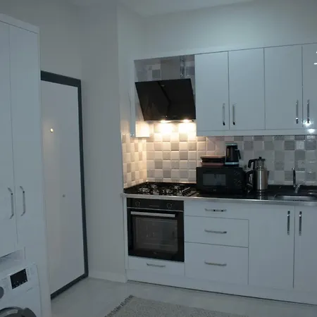 Modern Apartment Near Beach In Muratpasa-2
