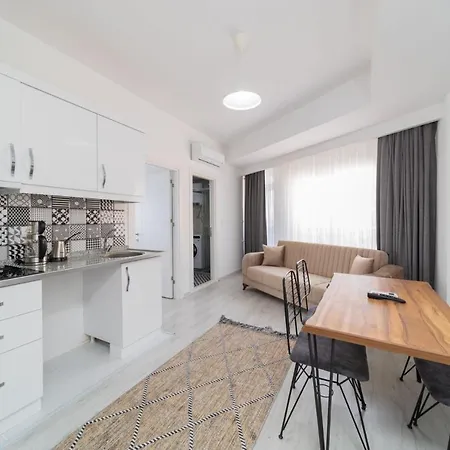 Modern And Comfortable Apartment In Muratpasa-3