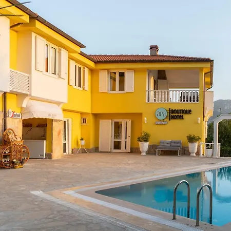 Apa Mountain Lodge-3