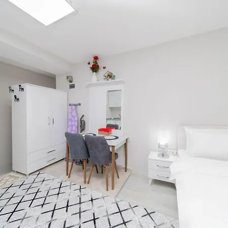 Furnished Tiny Studio Flat In Muratpasa Antalya-2