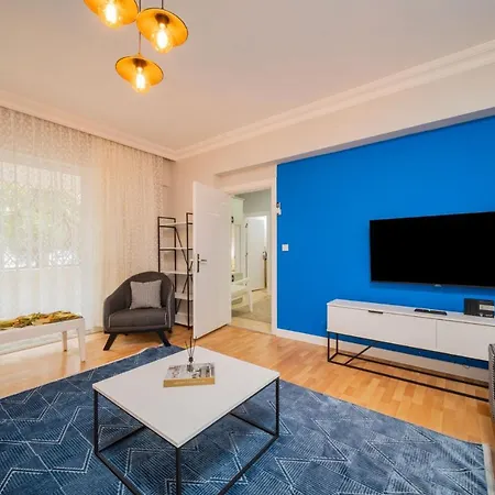 Elegant And Full Furnished Flat With Balcony-2