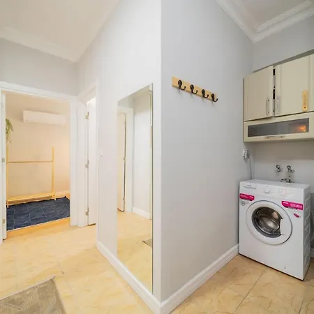 Elegant And Full Furnished Flat With Balcony-3