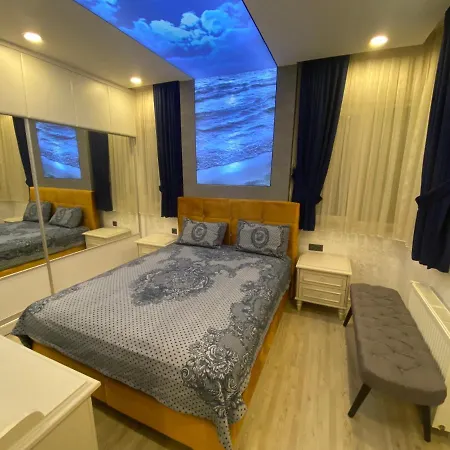 Paradice With Olimpic Pool-2