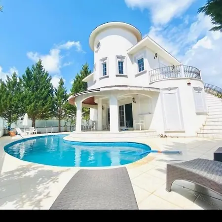 Beautiful Villa With Swimming Pool & Garden-2