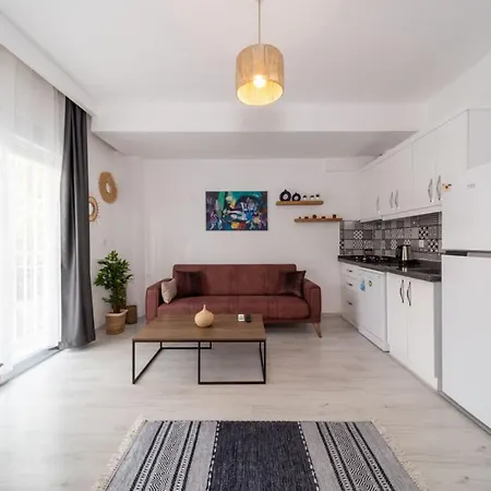 Comfortable Modern Flat With Balcony In Muratpasa-3