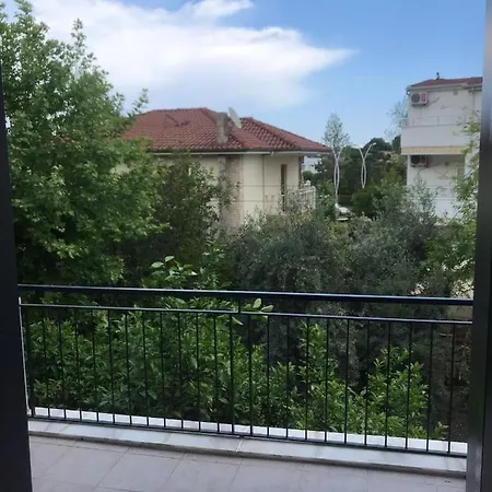 Backyard Apart-3