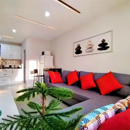 Central And Fully Furnished Flat In Muratpasa-3