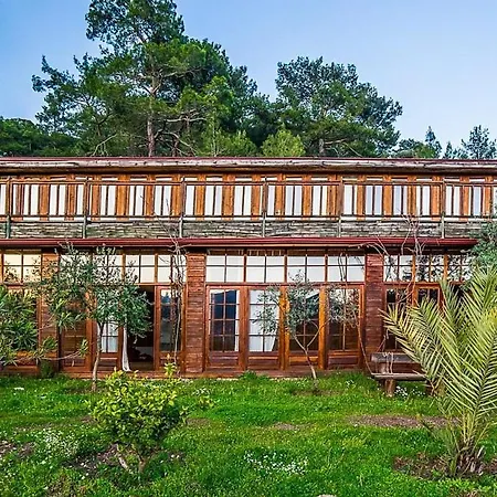 Olympos Paradise Hotel-3