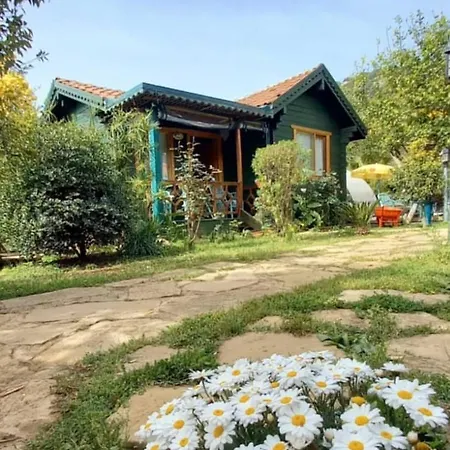 Turkuaz Bungalows-2