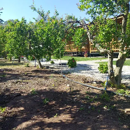 Fidelya Bungalow Evleri-3