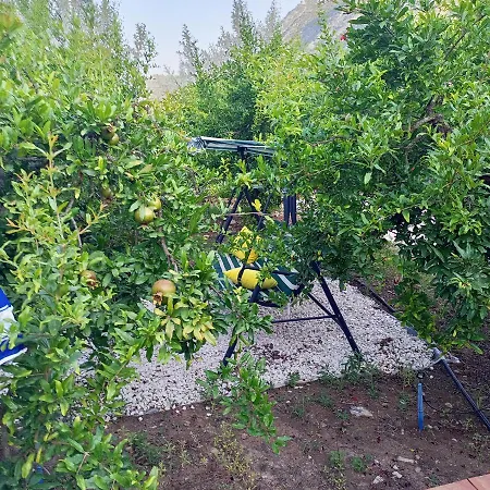 Fidelya Bungalow Evleri-2