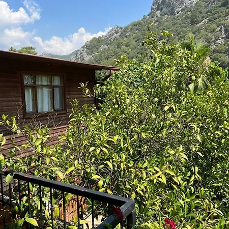 Oran Agac Bungalovs-3