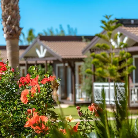 Sedir Park - Beach Bungalow-2