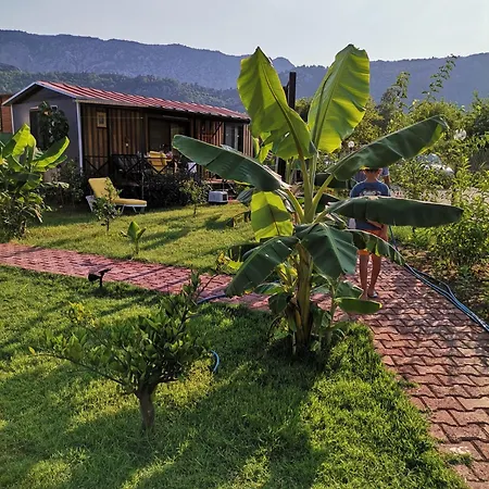 Arlin Bungalows-2