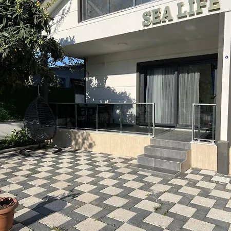 Sea Life Homes-3