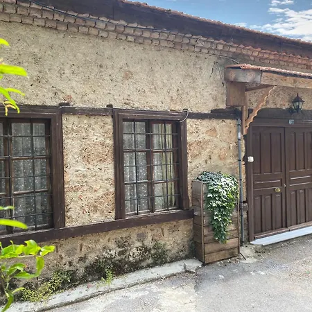 Old Town Cozy Villa In The Heart Of Antalya-3