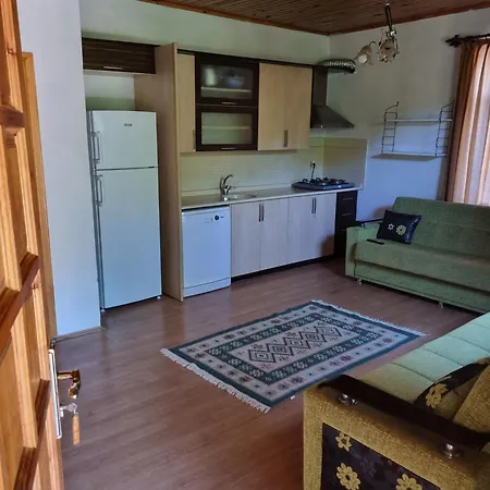 Ugur Pansiyon Bungalows-2