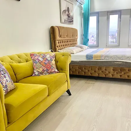 Jazzy Homes-3