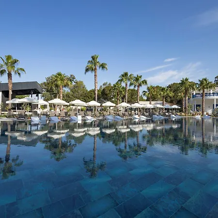 Berry Blue Hotels-3