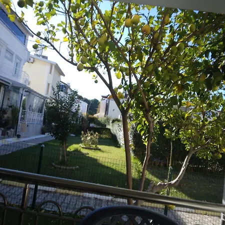 Villalemoon-2