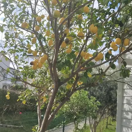 Villalemoon-3