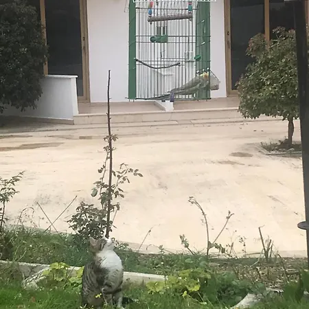 Kahraman Hotel-3