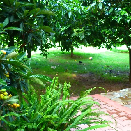 Simge Pension-3