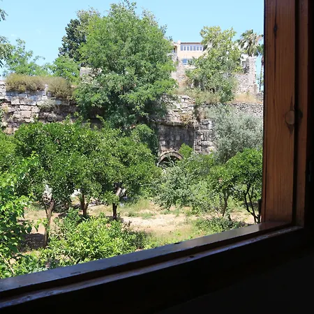Otel Wood House-3