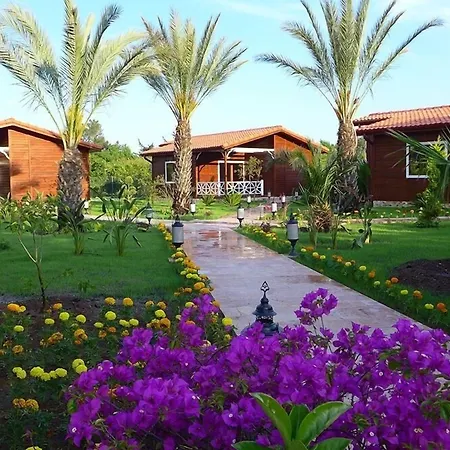 Aida Hotel-3