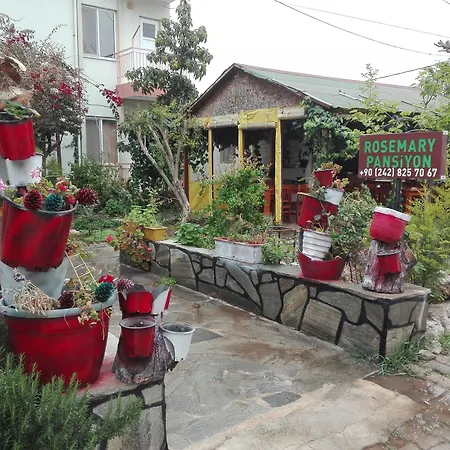 Rosemary Kuetle Pansiyon-2