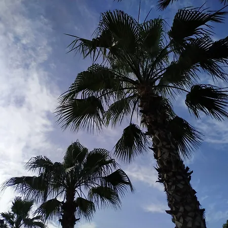 Olympos Yavuz Hotel-3