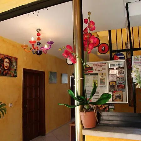 Latino Hotel-3