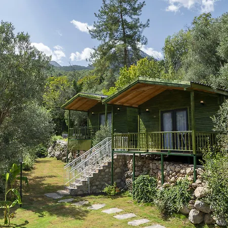 Apa Mountain Lodge-2
