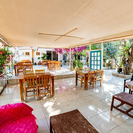 Eucalyptus Pension-3