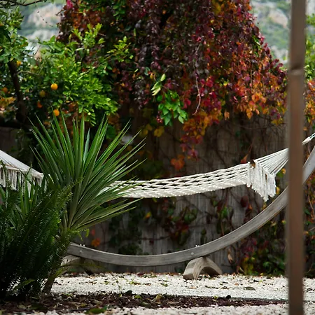 Collesium Garden-3