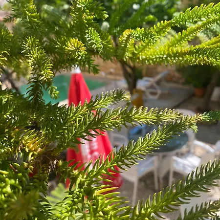 Kaleici Hotel-3