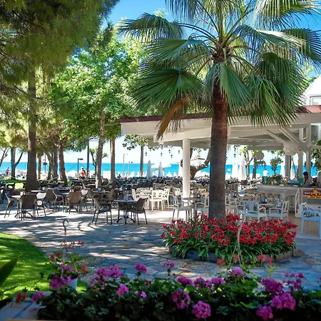 Barut Hemera-2