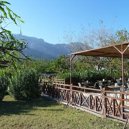 Garden Resort Bergamot-3