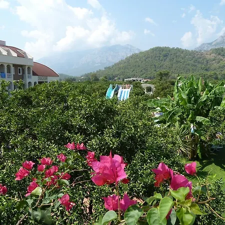 Garden Resort Bergamot-2