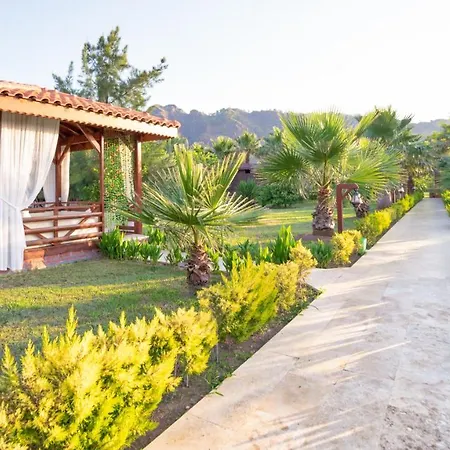 Nerissa Hotel-2
