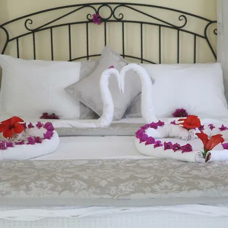 Hotel Cachet - Adult Only +14-3