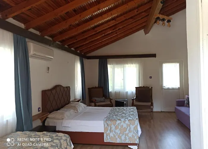 Haustierfreundliches Antrelodge Çıralı