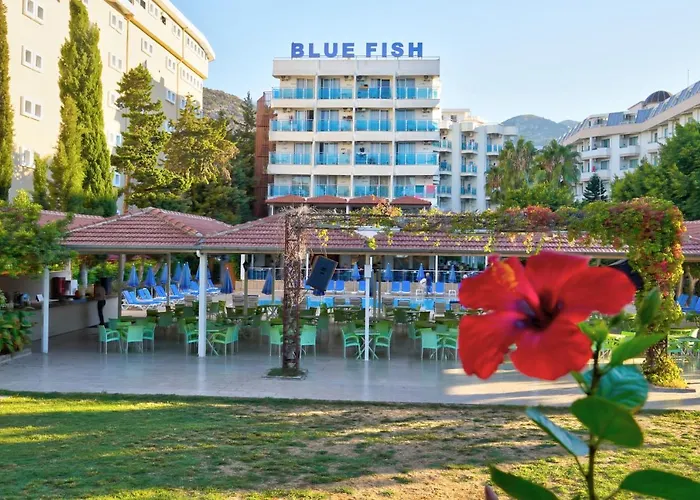 Hotels nahe Neva Outlet